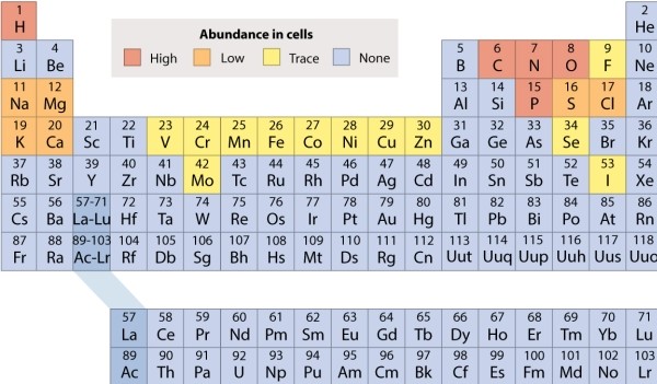 Refer to the periodic table, and decide which of the following molecules is held together by polar covalent bonds.   A) NH<sub>3</sub> B) CO<sub>2</sub> C) KCl