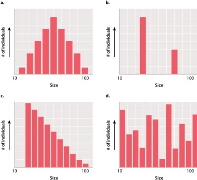 Which of the graphs below would likely represent the distribution of a simple, single gene trait?   A) graph A B) graph B C) graph C D) graph D