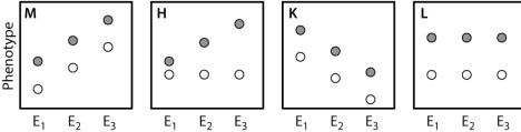 The plots shown here depict several possible outcomes of an experiment comparing the mean phenotype of a behavioral trait in two strains of mice in three environments. Strain 1 is represented by filled circles and Strain 2 is represented by open circles. Environment 1 (E<sub>1</sub>)  is deficient in stimulation for the behavior, environment 2 (E<sub>2</sub>)  has an average level of stimulation, and environment 3 (E<sub>3</sub>)  is enriched in stimulation. Which of the possible results indicates the presence of genotype-by-environment interaction for one or both of the strains?   A) result M B) result H C) result K D) result L E) None of the answer options is correct.