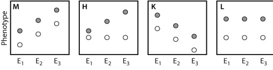 The plots shown here depict several possible outcomes of an experiment comparing the mean phenotype of a behavioral trait in two strains of mice in three environments. Strain 1 is represented by filled circles and Strain 2 is represented by open circles. Environment 1 (E<sub>1</sub>)  is deficient in stimulation for the behavior, environment 2 (E<sub>2</sub>)  has an average level of stimulation, and environment 3 (E<sub>3</sub>)  is enriched in stimulation. Which of the possible results indicates the absence of genotype-by-environment interaction?   A) result M B) result H C) result K D) result L E) None of the answer options is correct.