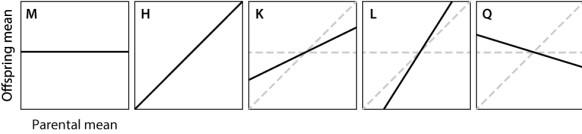 In which of the complex traits shown here is variation determined almost completely by heredity?   A) trait M B) trait H C) trait K D) trait L E) trait Q