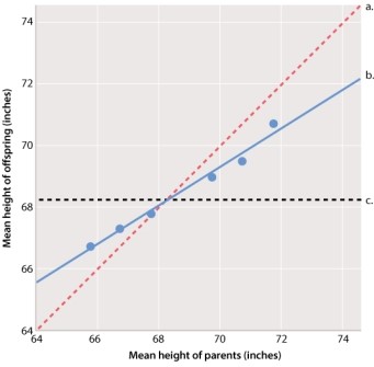 Which line on the graph below demonstrates Galton's concept of regression toward the mean?   A) line a B) line b C) line c