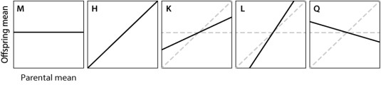In which of the complex traits shown here is variation determined almost completely by the environment?   A) trait M B) trait H C) trait K D) trait L E) trait Q