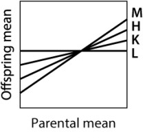 Which of the traits depicted here has the SMALLEST heritability?   A) trait M B) trait H C) trait K D) trait L