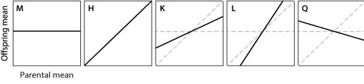 Which of the traits depicted here illustrates regression toward the mean?   A) trait M B) trait H C) trait K D) trait L E) trait Q