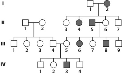 The pedigree below is following a certain trait that is NOT Y-linked.   Which individuals are expected to have essentially the same Y chromosome? A) I-1, II-7, and III-9 B) II-5, III-8, and IV-3 C) I-1, II-5, III-9 D) II-1, III-1, and IV-1 E) All the men in this pedigree should have identical Y chromosomes.