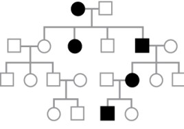 Assuming that the trait represented by the filled symbols below is a rare inherited trait with complete penetrance due to a single gene with alleles A and a, what mode of inheritance does the pedigree suggest?   A) dominant B) recessive