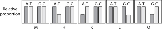 The diagrams below depict the relative proportions of individuals affected with a certain condition (shaded bar)  and individuals not affected (open bar) , in individuals carrying either the A-T or the G-C allele of an SNP polymorphism. (Heterozygous genotypes carry both alleles and are included in both categories.)    Which panel shows a pattern that suggests that the A-T allele is a factor that protects against the disease? A) graph M B) graph H C) graph K D) graph L E) graph Q