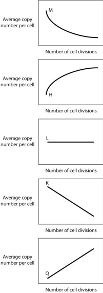 In bacteria, many transposable elements are able to regulate their own transposition in such a way that the probability of transposition decreases as the number of copies of the transposon in a cell increases. If a transposon invades a bacterial cell that does not currently have any transposons, and then increases in copy number as the cell divides, what curve below would BEST depict the increase in copy number of such a self-regulating transposon?   A) curve M B) curve H C) curve K D) curve L E) curve Q