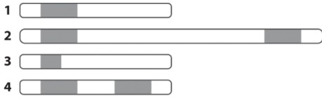 The drawings below represent several different versions of human chromosome 2. In each one, the gray region of the chromosome represents the gene that codes for the light chain of the myosin protein (the drawing is not to scale) . Diagram 1 represents the nonmutant human chromosome 2. Among diagrams 2 through 4, which represents a mutation of chromosome 2?   A) diagram 2 B) diagrams 3 and 4 C) diagrams 2, 3, and 4 D) None of the answer options is correct.
