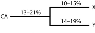 The tree below shows the estimated percent differences accumulated in an amino acid sequence in a protein during different intervals of time. The intervals are indicated by horizontal lines, and each interval depicts the same length of time. X and Y are species that exist today, and CA is their now-extinct common ancestor. The range is the so-called 95% confidence interval, which means that there is only a 5% chance that the true value lays outside this range. These data conform to the expectations of a molecular clock.  