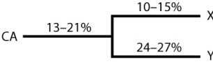 The tree below shows the estimated percent differences accumulated in an amino acid sequence in a protein during different intervals of time. The intervals are indicated by horizontal lines, and each interval depicts the same length of time. X and Y are species that exist today, and CA is their now-extinct common ancestor. The range of estimates is the so-called 95% confidence interval, which means that there is only a 5% chance that the true value lays outside this range.   These data conform to the expectations of a molecular clock.