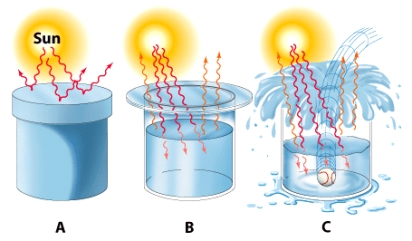 In the illustration below,which of the three models depicts an  open system?    A) Model A B) Model B C) Model C