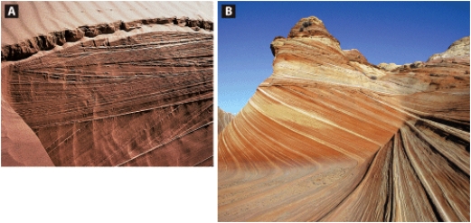 In the two photographs below,A shows structures within a modern sand dune that are identical to the structures in the sandstone shown in B.Geologists interpret the structures in the ancient sandstone to be formed by the same processes as those that produced the structures in the modern sand dune.A geologist's ability to interpret these structures by comparing them to modern processes is an example of--------------------.     A) paleontology. B) the nebular hypothesis. C) uniformitarianism. D) a systems approach.