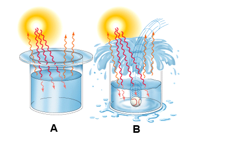 The illustration below shows TWO different systems labeled A and B.For each of the modeled systems,provide its name and explain how it differs from the other.   