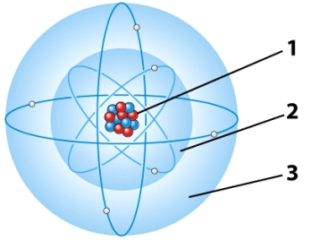 In the illustration below,the part of the atom in which virtually all the mass is concentrated is referred to as the:   A) first electron energy level. B) second electron energy level. C) Both A and B are correct. D) nucleus.
