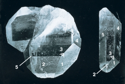In the photograph of the quartz crystal below,the angles between similar faces are constant because of the chemical composition of the mineral.   