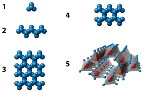 The illustration below shows five different silicate structures.Of these,the structure labeled _____ is the most abundant in silicate minerals of Earth's crust.   