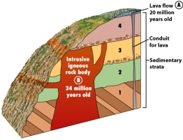 Based on the block diagram below,the igneous intrusion labeled B is younger than Unit 2.What stratigraphic principle allowed you to determine this observation?   A) principle of superposition B) principle of faunal succession C) principle of original horizontality D) principle of cross-cutting relationships