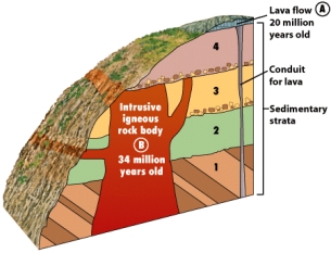 For the block diagram below,what stratigraphic principle allowed you to determine the relative age of the intrusion and the stratigraphic sequence labeled 1?   A) principle of superposition B) principle of faunal succession C) principle of original horizontality D) principle of cross-cutting relationships