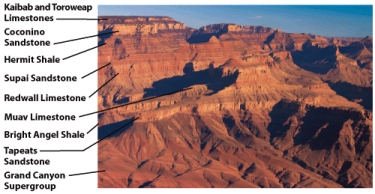 In the photo of the stratigraphic sequence of the Grand Canyon,below,tilting of the Grand Canyon Super Group occurred after deposition of the Tapeats Sandstone.   