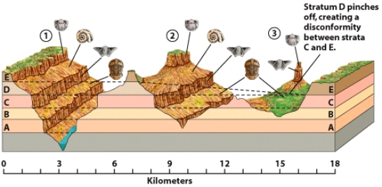 For the figure below give two possible explanations for the stratigraphy at site 3,in which unit E sits directly on top of C.   