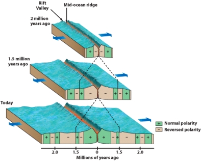 In the figure below,how many magnetic reversals occurred between 1.5 million years and present?   A) 1 B) 2 C) 3 D) 4 E) 6