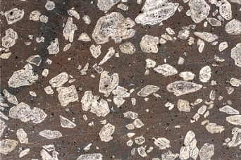 The figure below has what type of texture?   A) glassy B) aphanitic C) phaneritic D) porphyritic E) none of the above