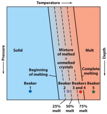 In the figure below,beaker #2 is the closest to having a 25% melt.   