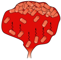 In the figure below,_______ is the process that occurs when newly formed crystals are lighter than magma and float to the top of the magma chamber   
