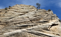 What is the sedimentary structure shown in the figure below?   A) ripple marks B) mud cracks C) footprints D) cross beds E) banded iron formation