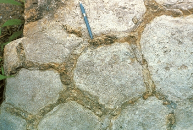 In the figure below,_____ are formed in wet and dry environments.   A) ripple marks B) mud cracks C) footprints D) cross beds E) banded iron formation