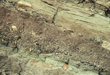 The figure below shows a sedimentary structure that is formed by wind.   