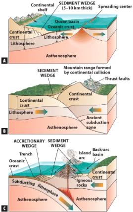 In the figure below,a divergent plate boundary contains a sedimentary wedge.   
