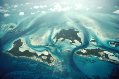 A _____ is the type of depositional environment shown below,which can be found in warm oceanic areas.   