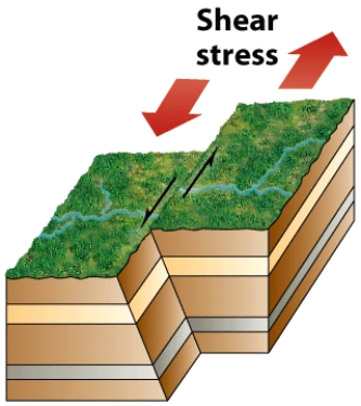 The figure below illustrates what type of fault?   A) normal B) reverse C) thrust D) shear E) strike-slip