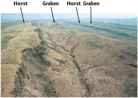 In the figure below,which part of the horst and graben structure is bound by normal faults,resulting in a down-dropping?   A) horst B) graben C) fault plane D) tension plane E) none of the above