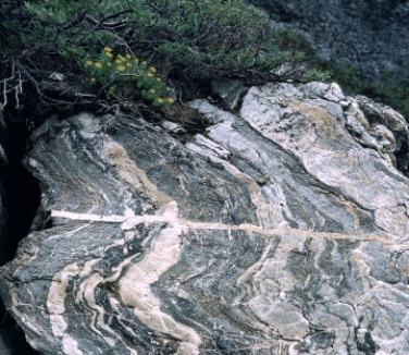 The banded rock in the figure below is known as _____.   A) schist B) gneiss C) phyllite D) marble E) slate