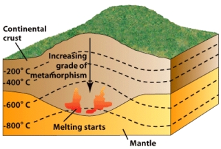 According to the figure below,_____ is the temperature at which melting starts.   A) 200ºC B) 400ºC C) 600ºC D) 800ºC E) none of the above