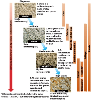 In the figure below,which of the following minerals is exclusive to low grade metamorphism?   A) quartz B) kyanite C) sillimanite D) chlorite E) feldspar