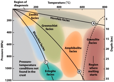 In the figure below,_____facies occur at 550ºC and 600 MPa.   