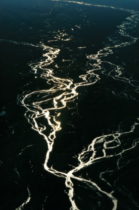 In the figure below,the _____ stream is common in areas of glaciers.   A) meandering B) braided C) anastomosing D) straight E) oxbow lake