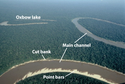 The figure below illustrates a _____ stream,which has a low-gradient and sand bars along the banks.   A) meandering B) braided C) anastomosing D) straight E) oxbow lake