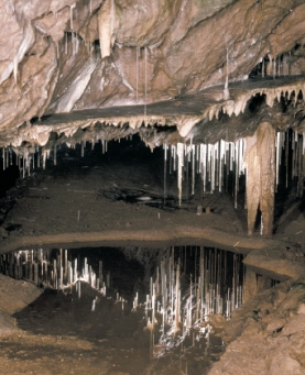 The figure below was formed by what part of the water cycle?   A) oceans B) atmosphere C) groundwater D) ice E) streams