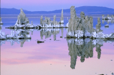 The figure below illustrates the result of good water management.   