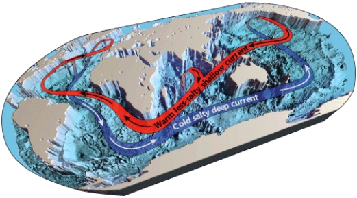 The surface ocean current in the figure below,that flows northward into the Atlantic Ocean and east across the Carolina coast,is called the _____:   A) Antarctic Bottom Water B) Coriolis Effect C) North Atlantic Deep Water D) Gulf Stream E) Northeast Trades