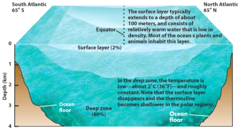 The transition zone in the figure of the ocean's temperature layering is called the _____.   