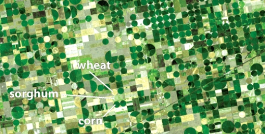 Irrigation in the Great Plains,as shown in the figure below,helps prevent desertification,but it also leads to _____.   A) continental deserts B) wetlands C) loss of topsoil D) depletionof aquifers
