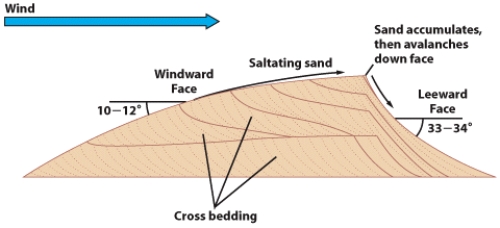 The stable shape of a pile of sand or other sediment is determined by its angle of _____.   