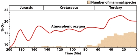 In order for mammalian life to succeed,oxygen levels as shown in the graph of at least ______ percent are required.   A) 2 B) 50 C) 25 D) 20 E) 10